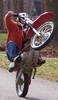 Dirtbike Wheelie - Click To Enlarge Picture