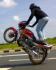Seat Stander Wheelie - Click To Enlarge Picture